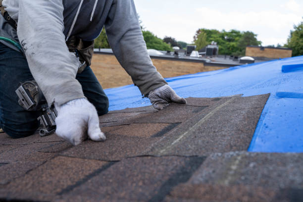 Best New Roof Installation  in Castlewood, VA