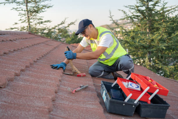 Best Shingle Roofing Installation  in Castlewood, VA