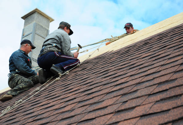 Best Shingle Roofing Installation  in Castlewood, VA